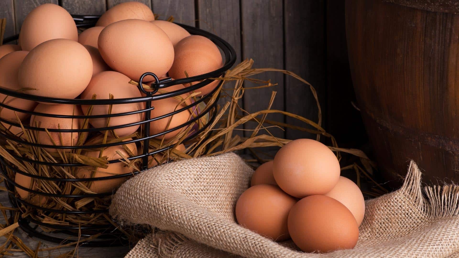 כמה זמן אפשר לשמור ביצה קשה במקרר