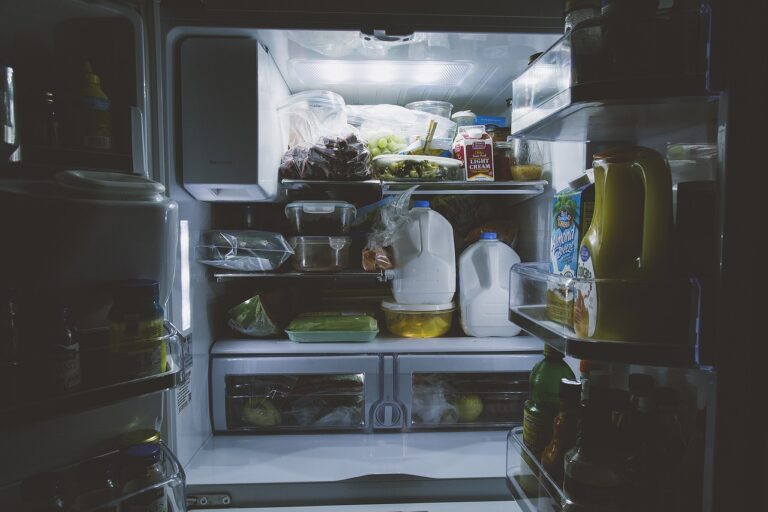 כמה זמן אפשר להשאיר בשר מופשר במקרר?