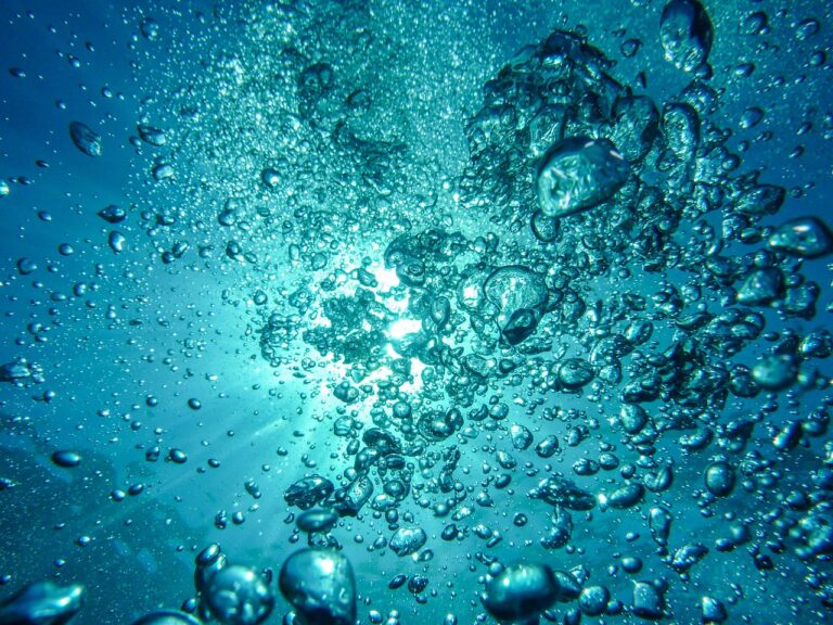 כמה זמן היפופוטם יכול להישאר מתחת למים?